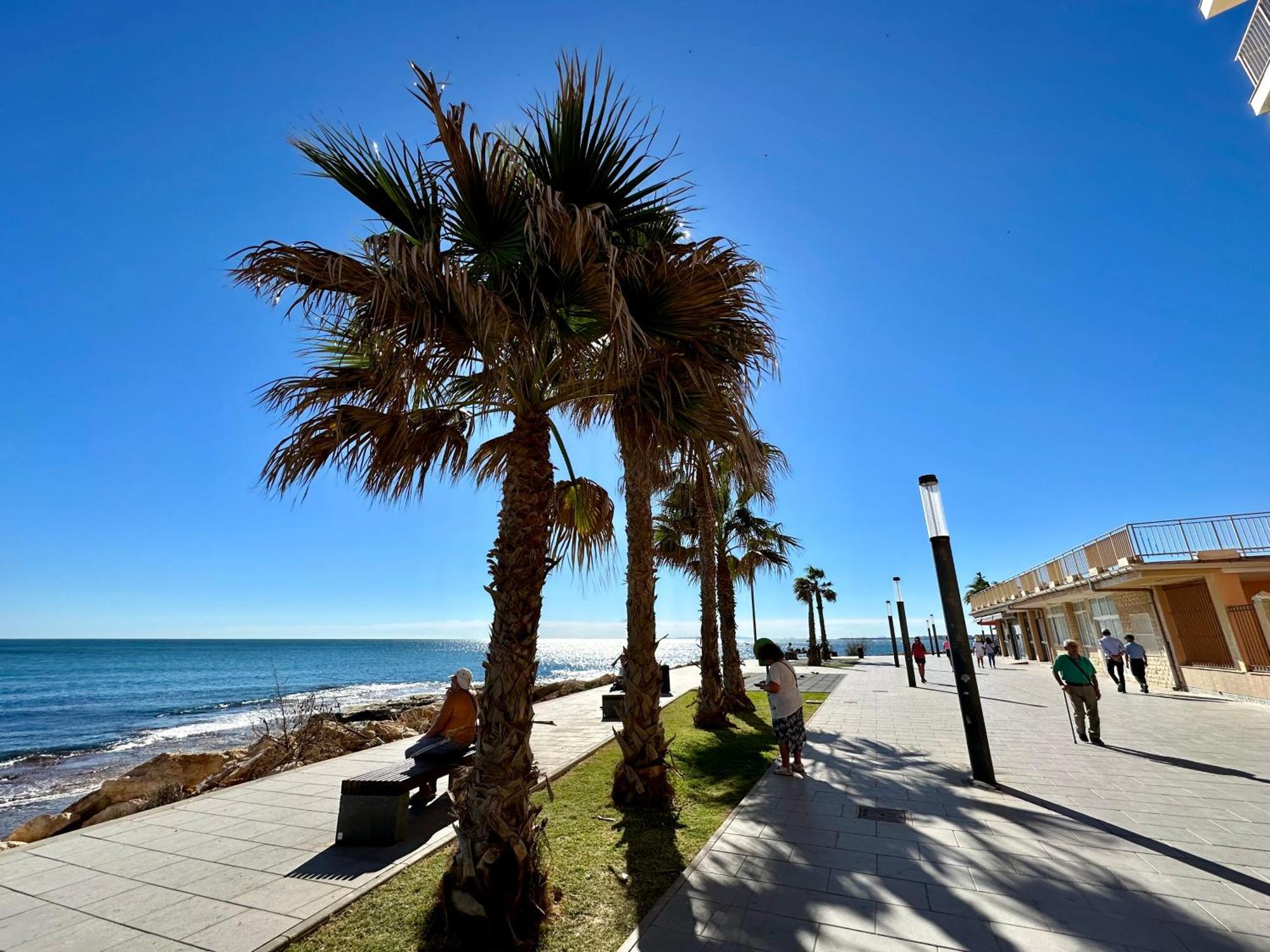 Modern Apartment On Playa Del Cura Torrevieja Zewnętrze zdjęcie